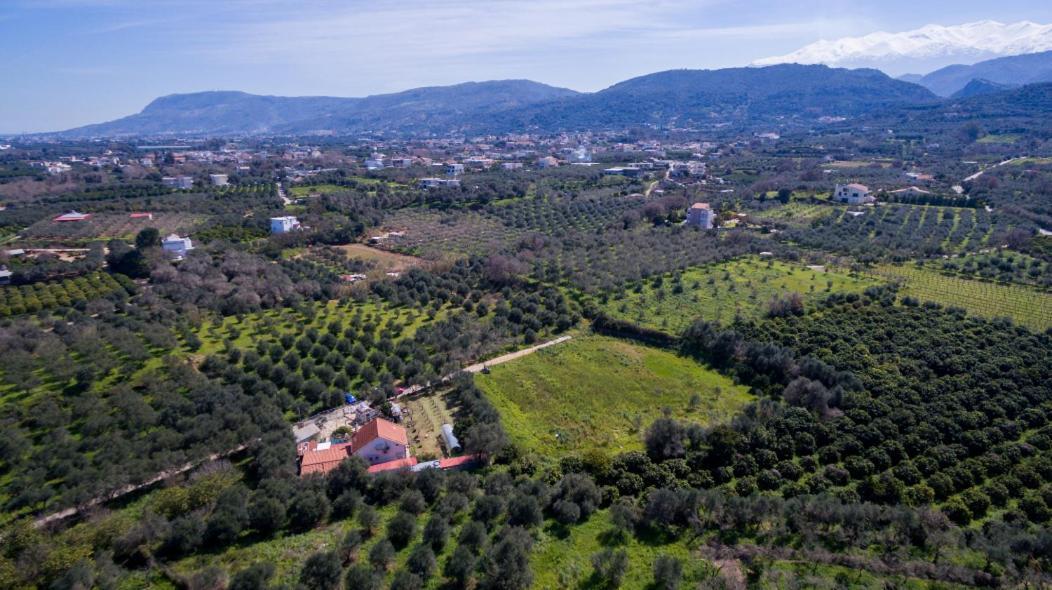 Dimitris'S Country House Agia  Exterior photo
